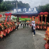 鱼跃门鱼庄